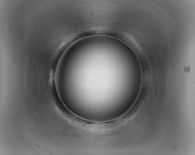X0000090770024200707201448