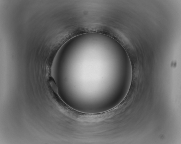 X0000090770025200707201448