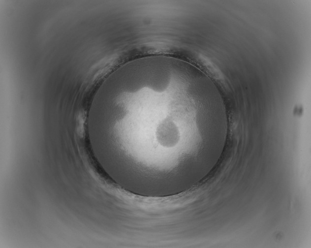 X0000090770026200707201448
