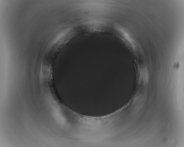 X0000090770029200707201448