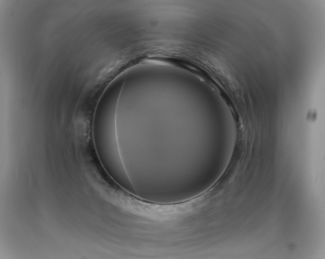 X0000090770031200707201448