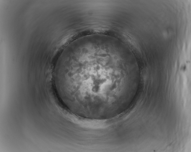 X0000090770032200707201448