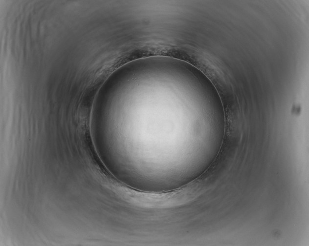 X0000090770034200707201448
