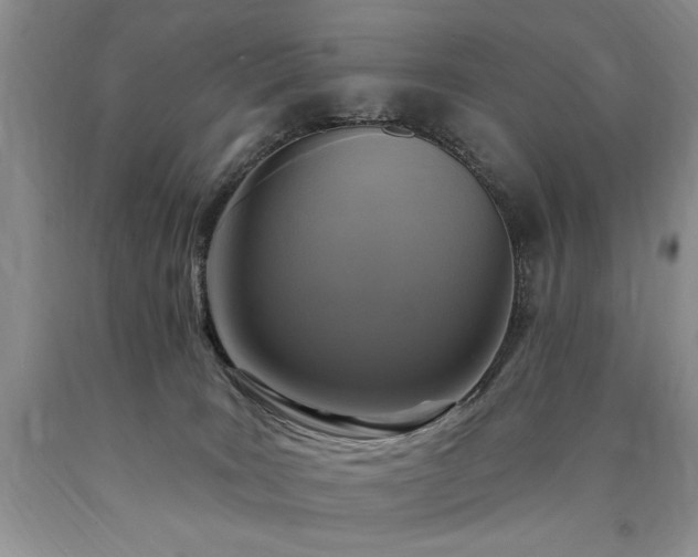 X0000090770035200707201448