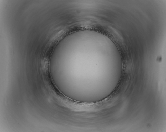 X0000090770036200707201448