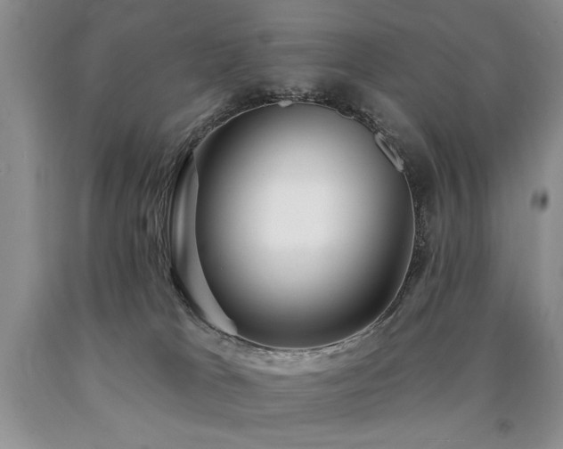 X0000090770037200707201448