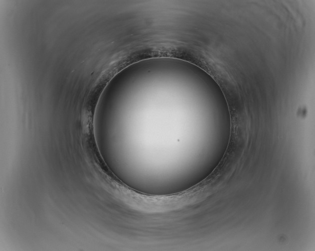 X0000090770038200707201448