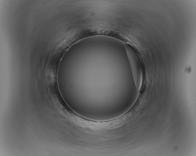 X0000090770039200707201448