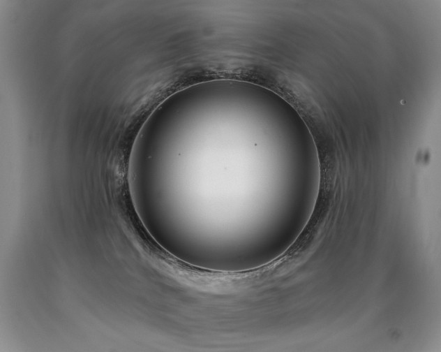 X0000090770040200707201448