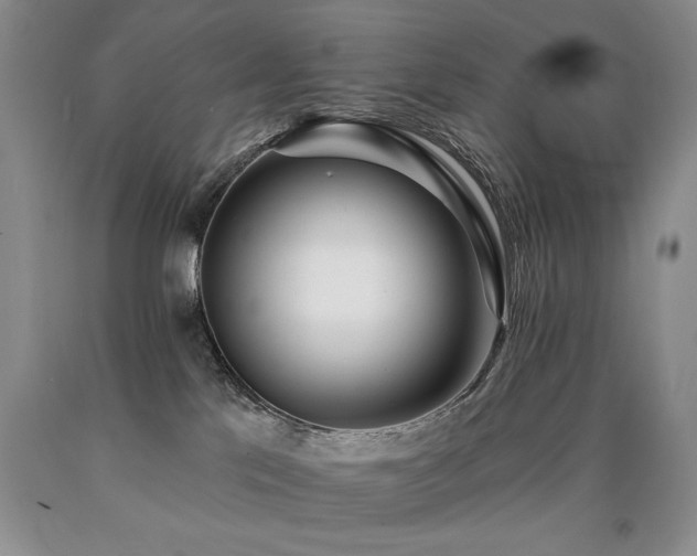 X0000090770041200707201448