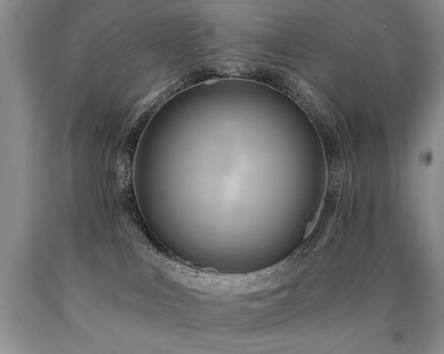 X0000090770043200707201448