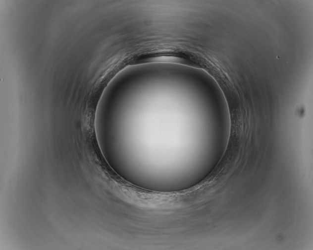 X0000090770044200707201448