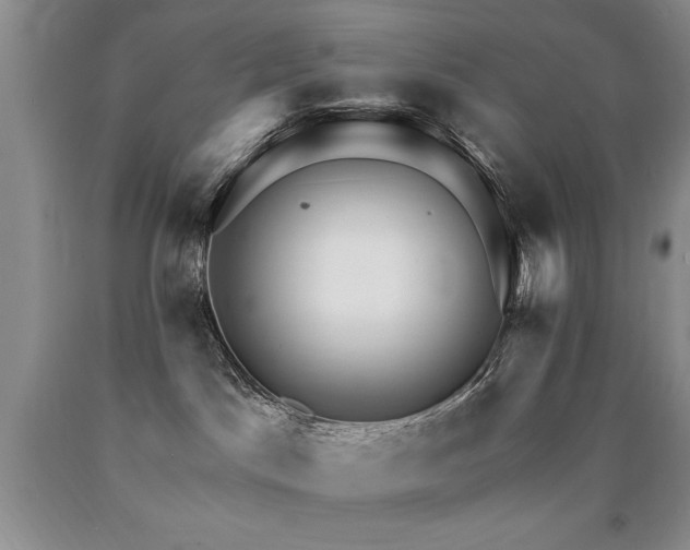 X0000090770045200707201448