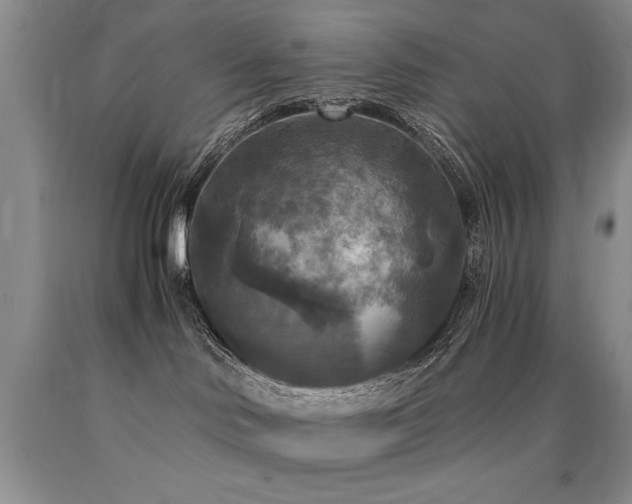 X0000090770046200707201448