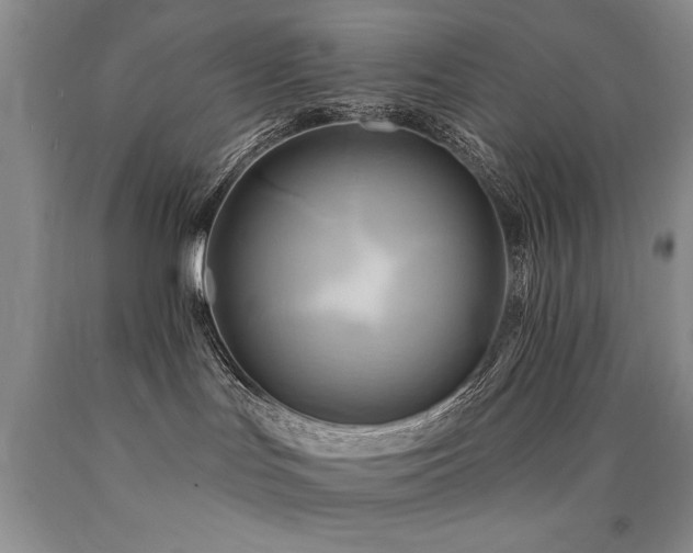 X0000090770047200707201448
