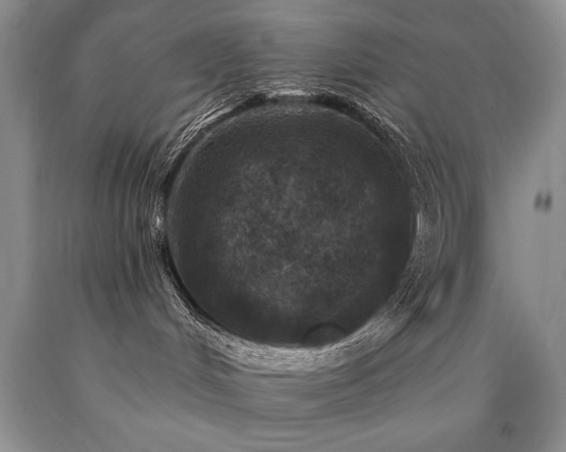 X0000090770048200707201448