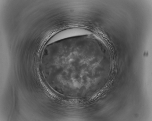 X0000090770049200707201447