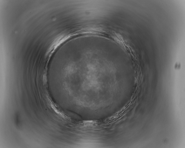 X0000090770050200707201447