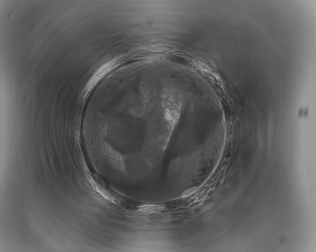 X0000090770051200707201447