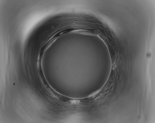 X0000090770052200707201447