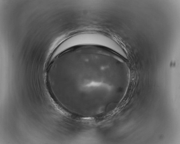 X0000090770053200707201447