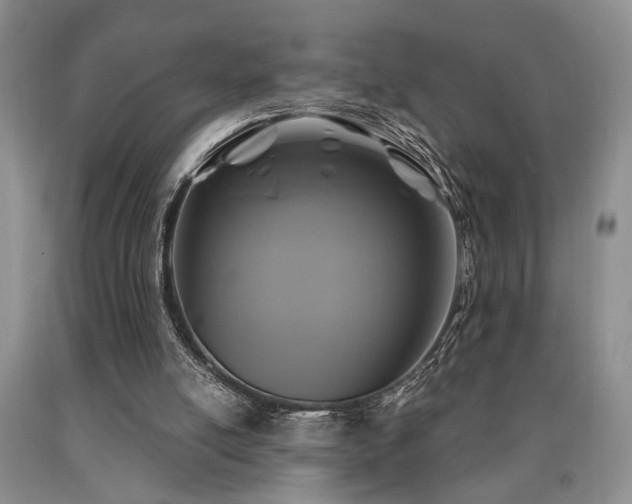 X0000090770054200707201447