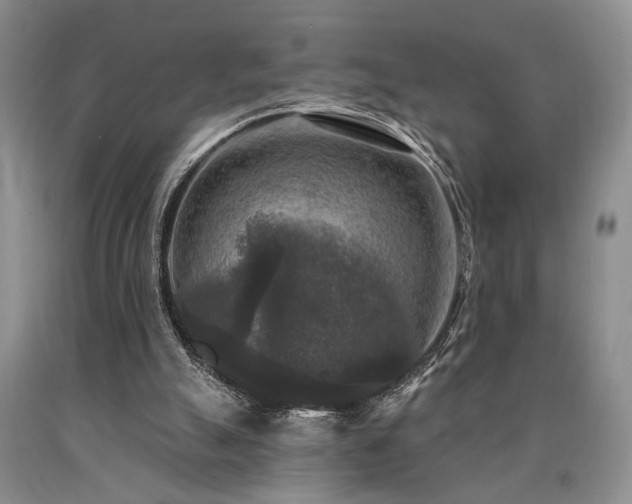 X0000090770055200707201447