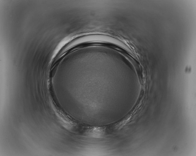 X0000090770056200707201447