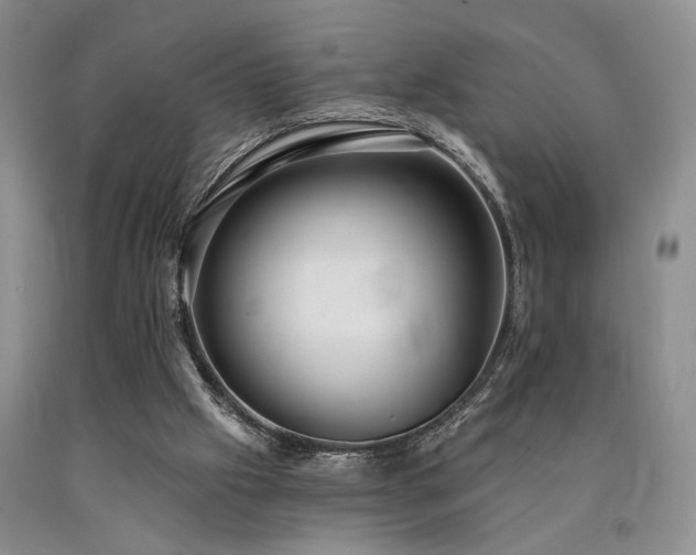 X0000090770057200707201447
