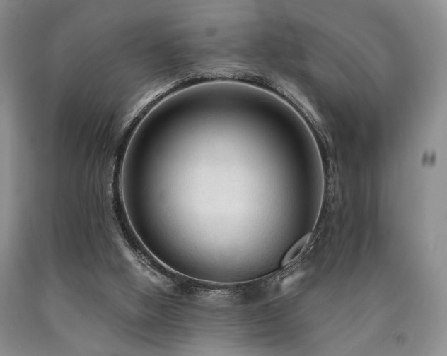 X0000090770058200707201447