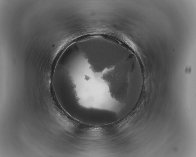 X0000090770059200707201447