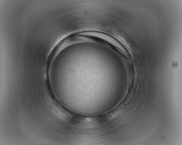 X0000090770060200707201447