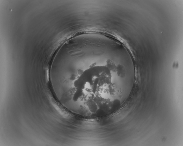 X0000090770061200707201447