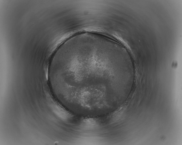 X0000090770062200707201447