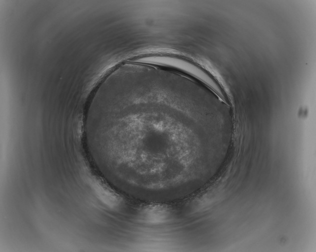 X0000090770063200707201447