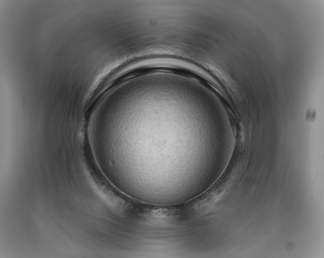 X0000090770064200707201447