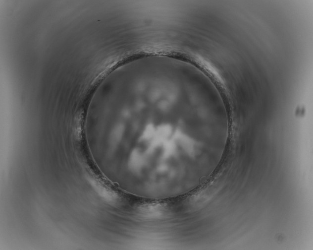 X0000090770065200707201447