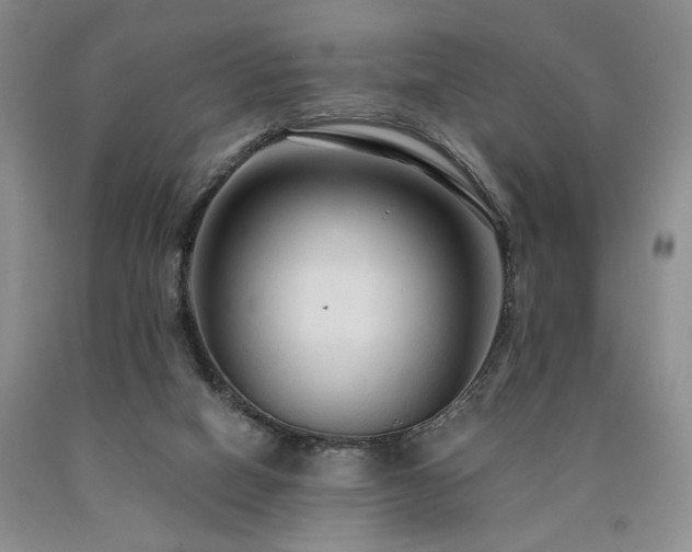 X0000090770066200707201447