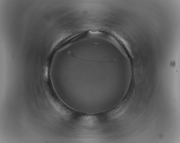 X0000090770067200707201447