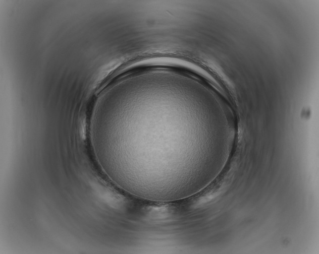 X0000090770068200707201447
