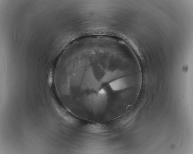 X0000090770069200707201447