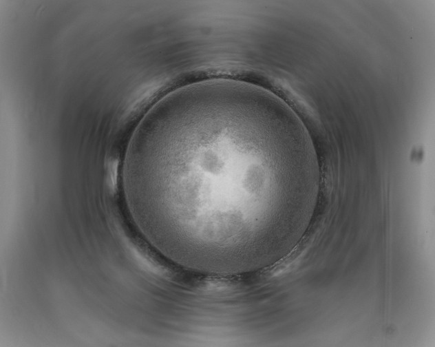 X0000090770070200707201447