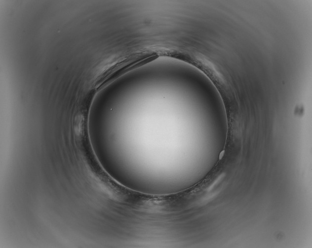 X0000090770071200707201447