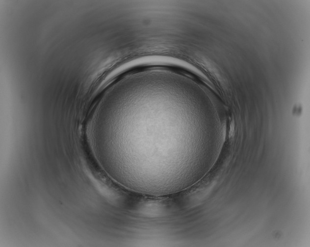 X0000090770072200707201447