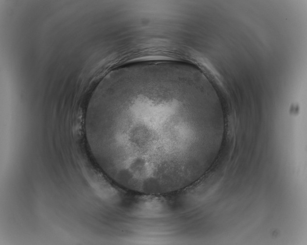 X0000090770073200707201447
