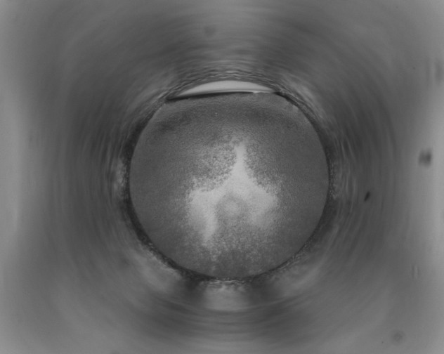 X0000090770077200707201447