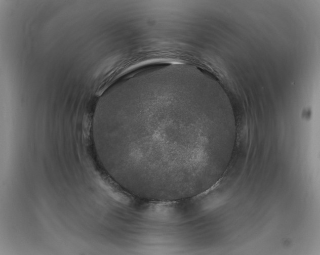X0000090770078200707201447