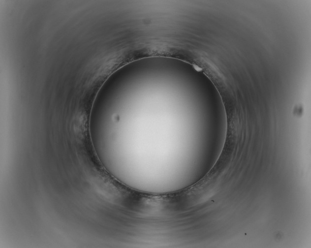 X0000090770079200707201447