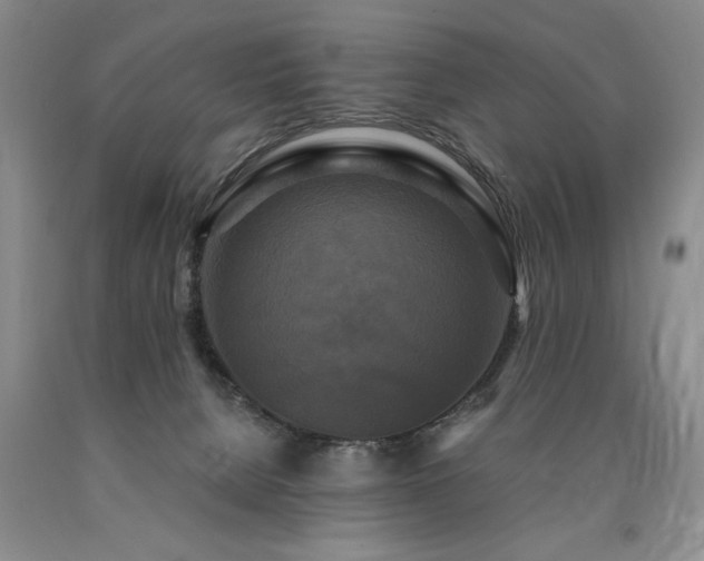 X0000090770080200707201447
