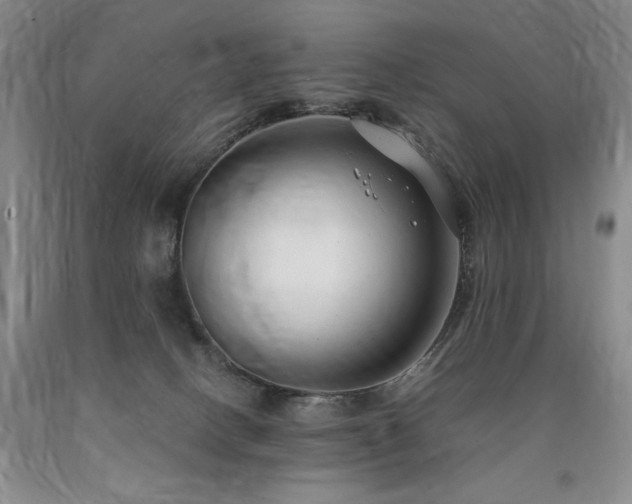 X0000090770082200707201447